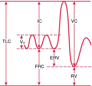 Subdivisioni della capacità polmonare totale: TLC, capacità polmonare totale; V, volume corrente; IC, capacità inspiratoria; FRC, capacità residua funzionale; ERV, volume di riserva espiratoria; VC, capacità vitale; RV, volume residuo.